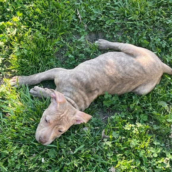 Hello!! Thanks for visiting. - Picture 4 of 4